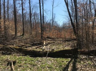 McClintocksburg Rd, Diamond, OH 44412