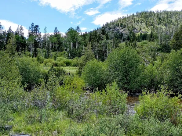 Moose Lake Rd Lot 1, Philipsburg, MT 59858