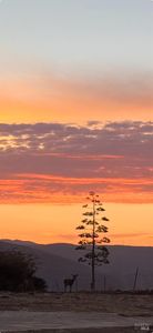 1065 Rimrock Drive, Napa, CA, 94558