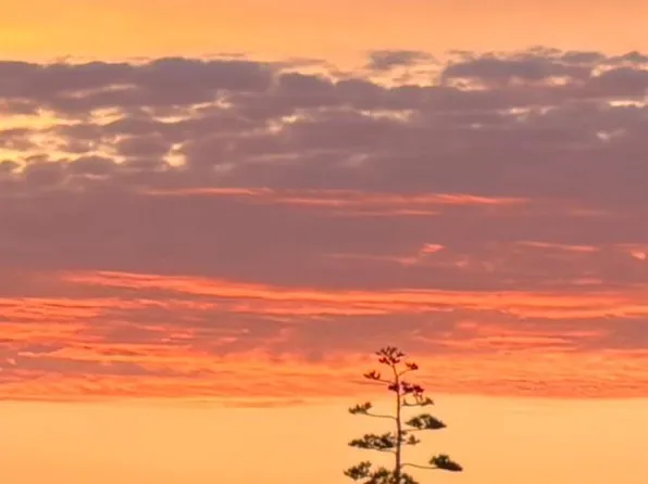 1065 Rimrock Drive, Napa, CA 94558