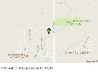 34514 Cliffcreek Ct, Wesley Chapel, FL 33545