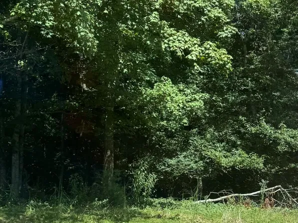 7901 Cove Ridge Dr, Hixson, TN 37343