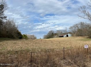 207 Wallace Dr, Coldwater, MS 38618