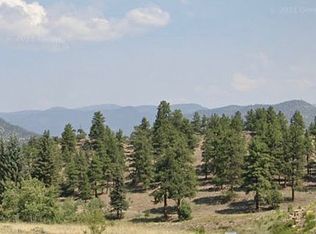 371 R Chuch Ceek #D, South Fork, CO 81154