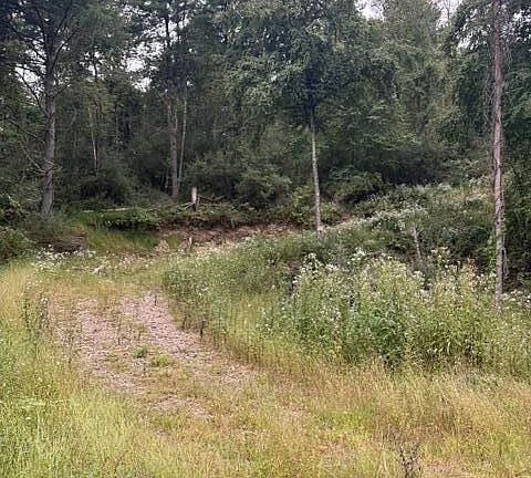 2nd image of 0 Ross Rd