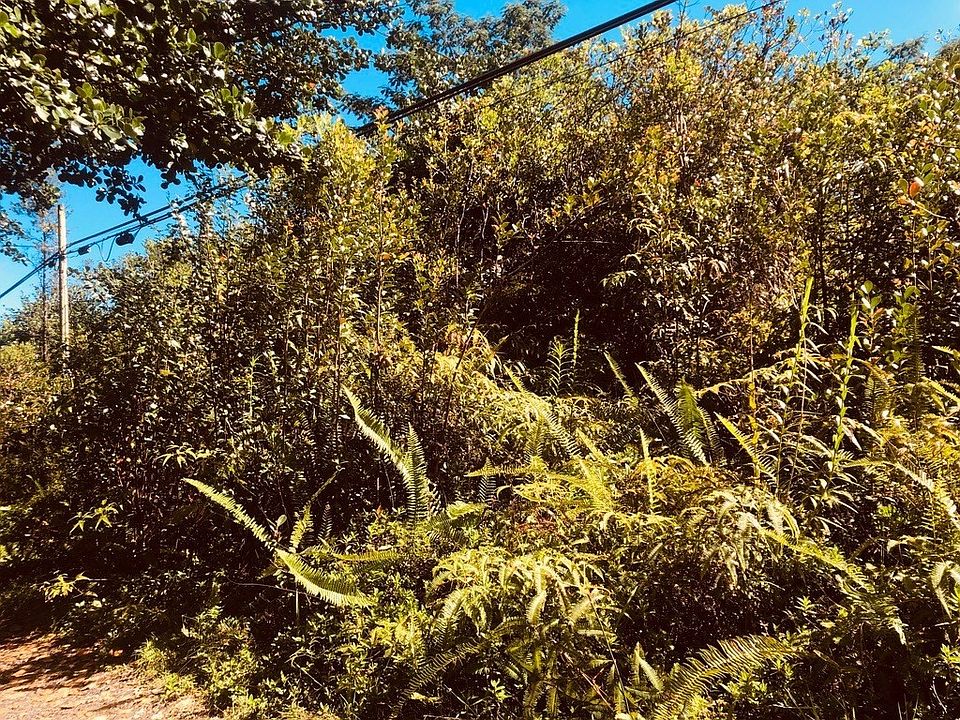 2nd image of Road 11
