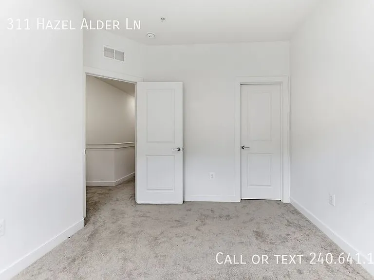 311 Hazel Alder Ln — Photo 15