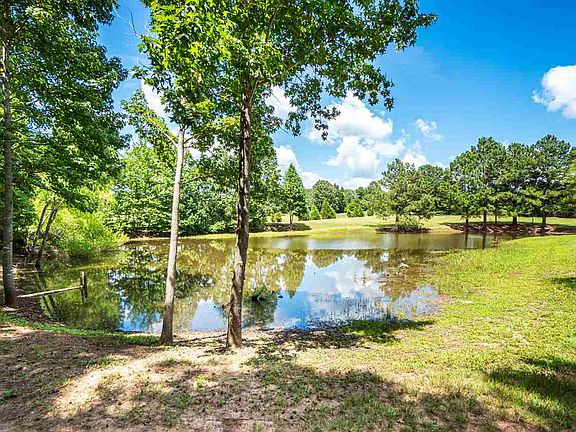 5th image of 7744 County Road 414 W