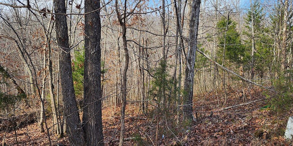 2nd image of 0 Magnolia Ln