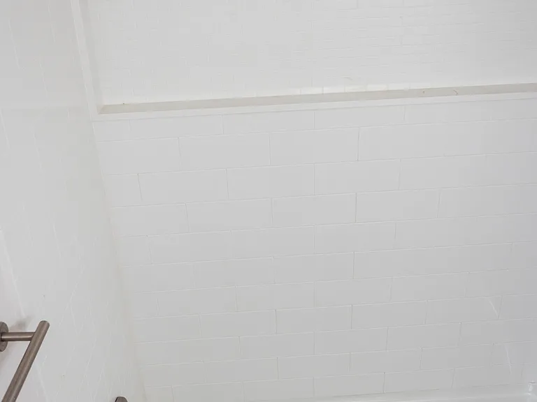 Bathroom #2(Built-in Storage Ledge)