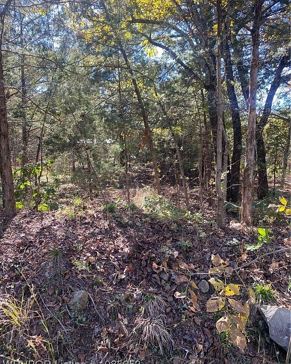 2nd image of LOT 5 Cobblestone Rd