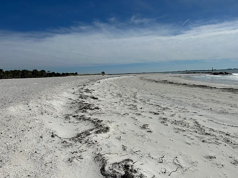 Tradewinds Dr — Photo 30