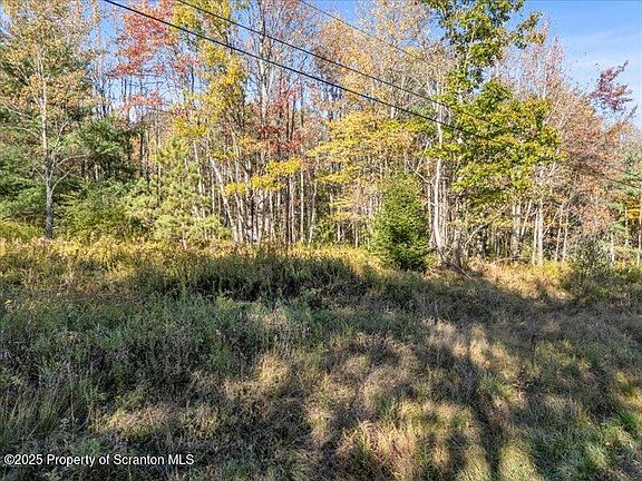 5th image of 1689 Cork Hill Rd