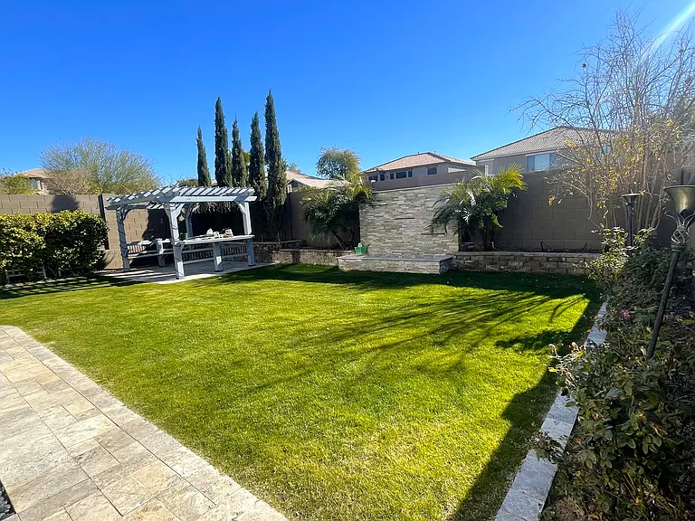 Backyard view 3
