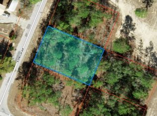 9751 N Emellia Ave, Citrus Springs, FL 34433