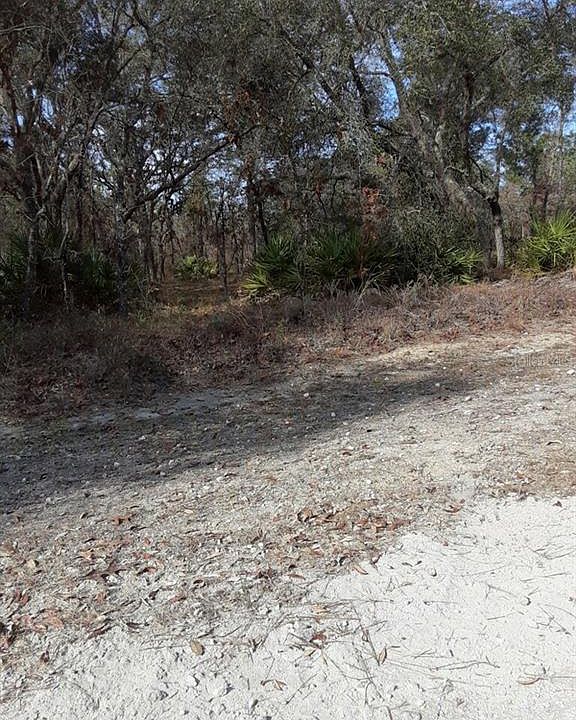 2nd image of 15235 Mottled Owl Rd