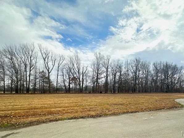 LOT 4 Regent Oak Dr, Dexter, MO 63841