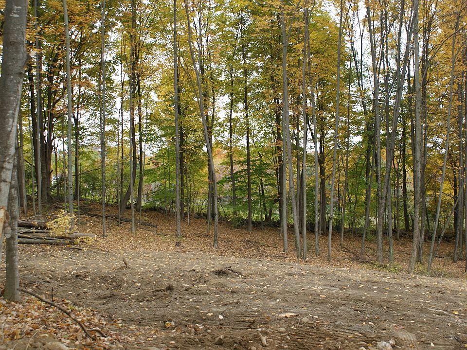2nd image of Swamp Ln