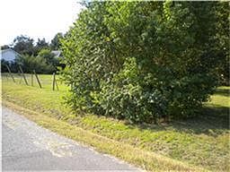 2nd image of 905 Fields St