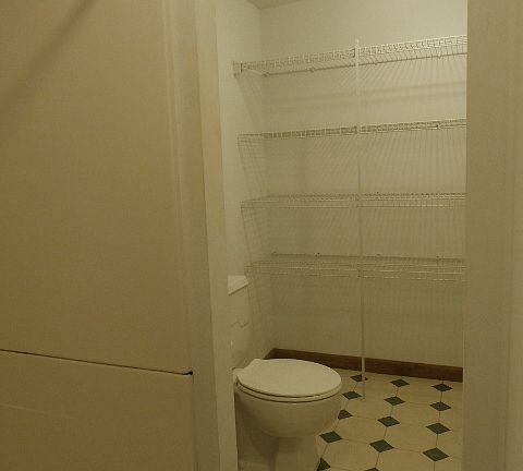 shower, toilet & shelves