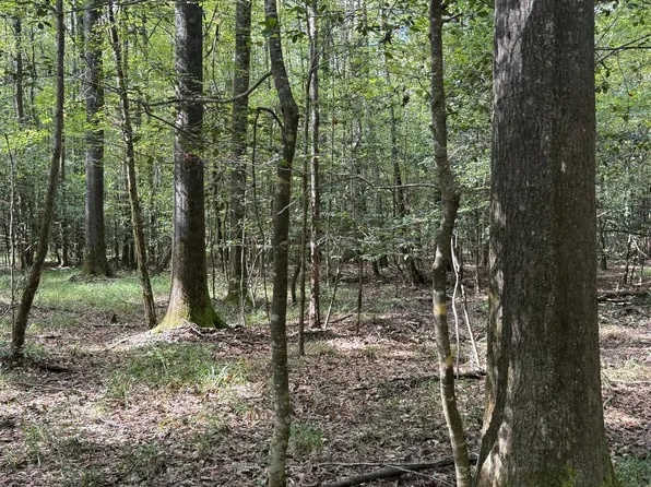 County Road 5216, Kosciusko, MS 39090