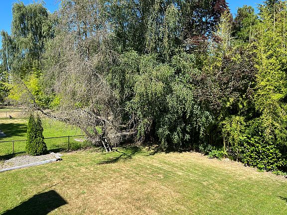 Back yard: north side fence