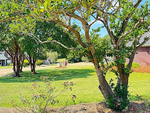 4th image of 218 Creek Stone Dr