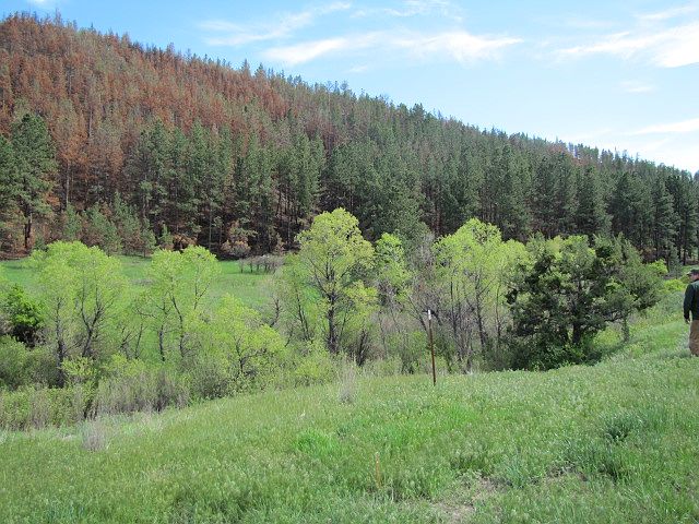 2nd image of Big Plum Acreage