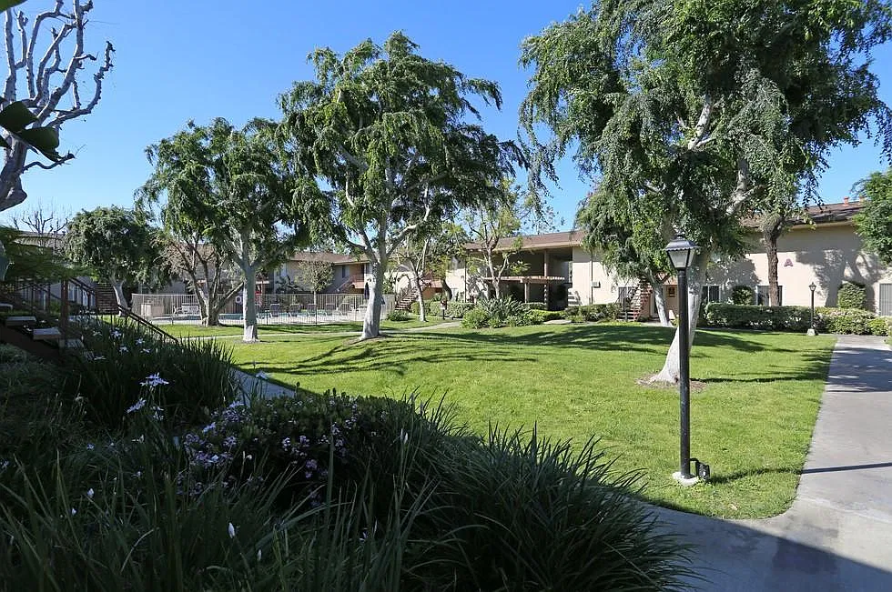 Colony Frontera — Photo 4