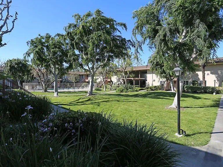 Colony Frontera — Photo 5