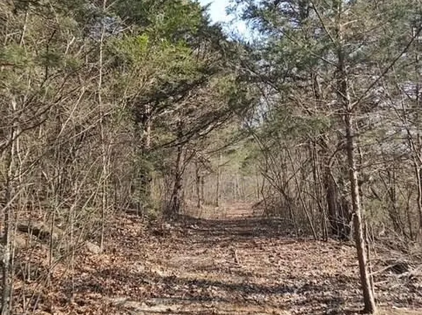 0 Banks Chapel Rd NE, Ranger, GA 30734