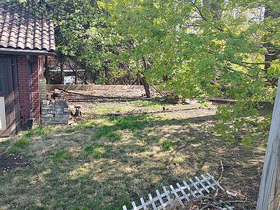 Back yard