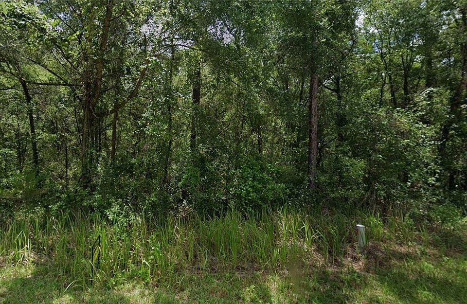 1st image of 305 N Fitzpatrick Ave