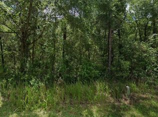 305 N Fitzpatrick Ave, Inverness, FL 34453