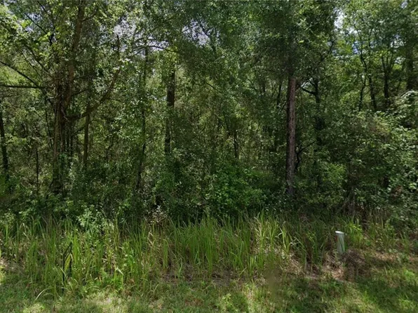 305 N Fitzpatrick Ave, Inverness, FL 34453