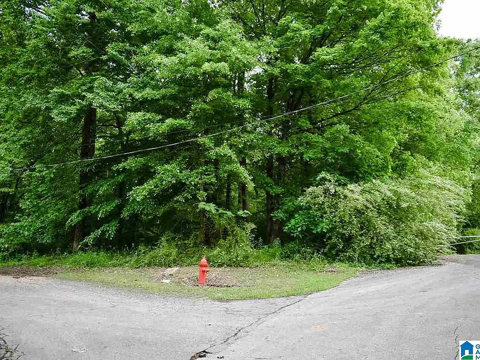 2nd image of 0 Oak St