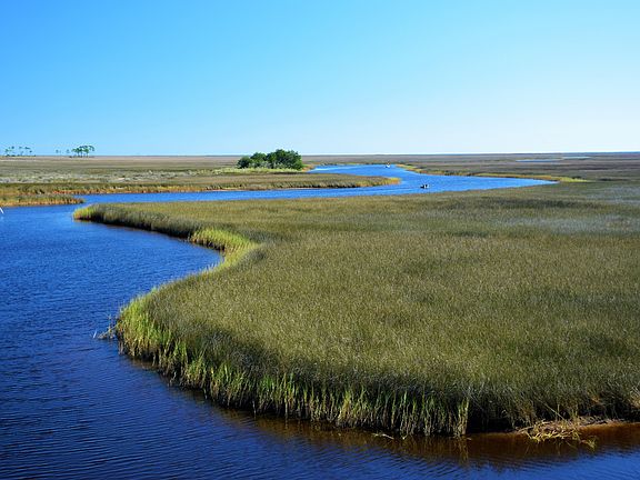 Bayou Gautier -- Bayou Heron