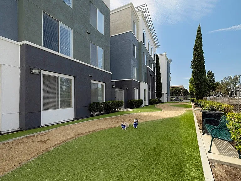 Main and Jamboree Apartments — Photo 20