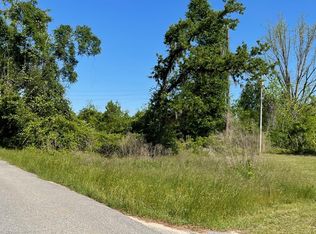 109 Black Jack Church Rd, Bainbridge, GA 39817