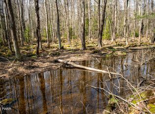 Rocky Swamp Rd #39, Pocono Lake, PA 18347
