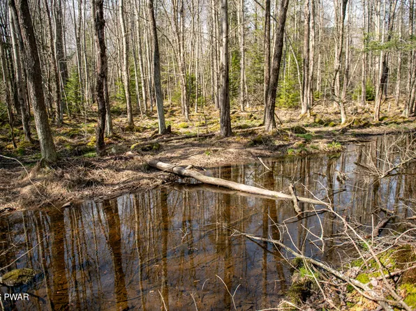 Rocky Swamp Rd #39, Pocono Lake, PA 18347