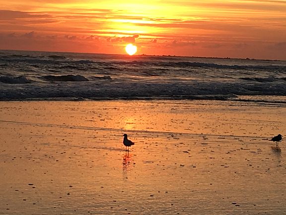 Morning Sunrises!!