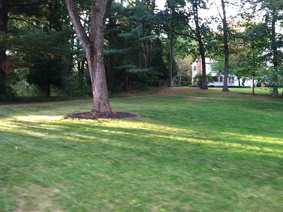4th image of 1542 Forest Hills Dr