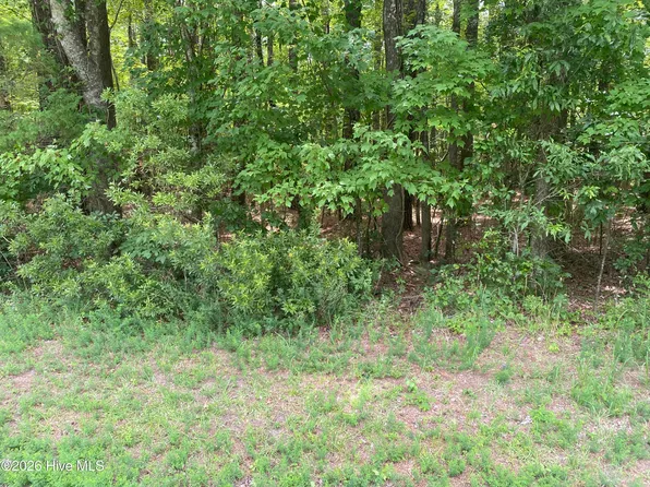 Lot 20 Hollis Drive, Blounts Creek, NC 27814