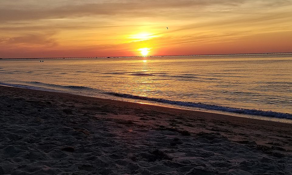 Backyard Sunset over Bay
