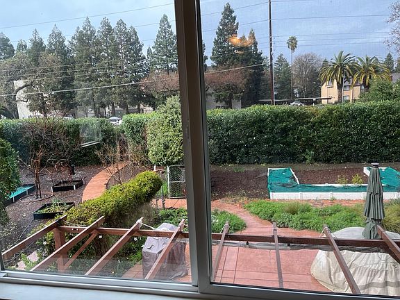 View from living room window to backyard, including the path to the Iron Horse trail behind the house and easy access to public transportation (BART).