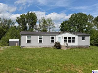 58 Limestone Ln, Rineyville, KY 40162