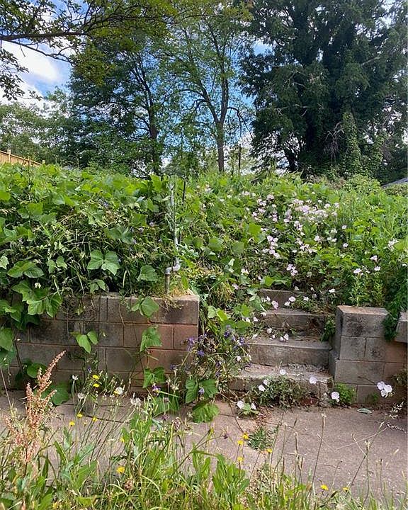 2nd image of 1673 Ware Ave Lot 0