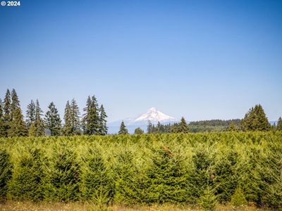 22701 S Ringle Ct, Beavercreek, OR, 97004