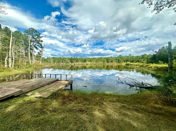 000 Buttercup Ln Sw, Bogue Chitto, MS 39629